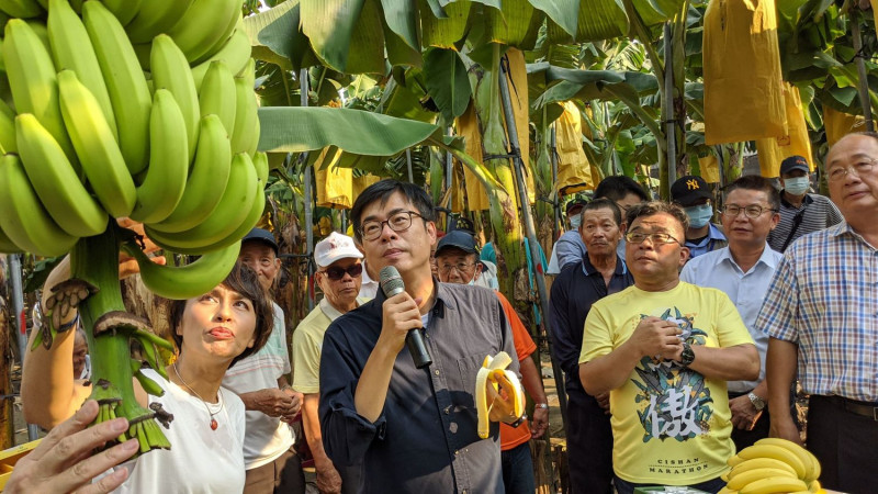 陳其邁關心蕉農，獲企業大舉回應。   圖：高雄市政府/提供