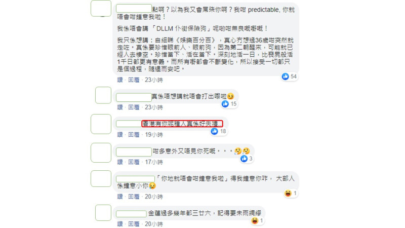 網友在林作發文底下留言，香港有他這種人，真的好失禮。   圖：翻攝臉書粉絲專頁