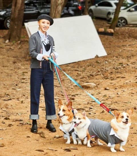 MAMAMOO玟星帶著她的三隻柯基犬「大發」、「幸運」和「健康」一起登場。   圖：翻攝自MBC