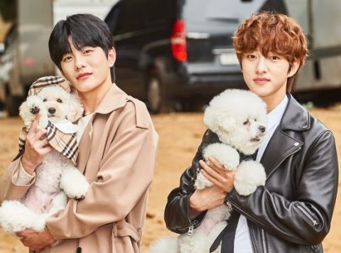 Golden Child有兩名成員參賽，分別是奉宰鉉和愛犬BongGu，以及普閔和愛犬Joy。   圖：翻攝自MBC
