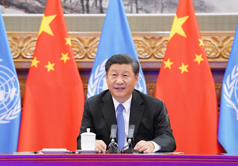中國國家主席習近平。   圖：翻攝自中國政府網
