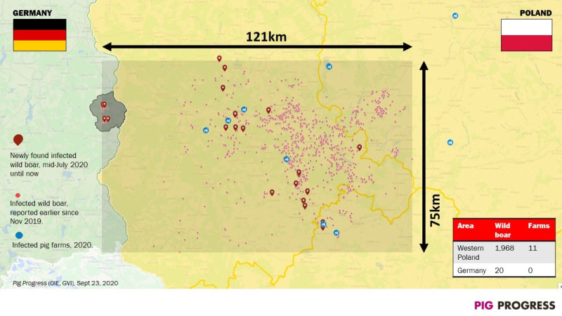 東德非洲豬瘟擴散區域距離波蘭盛行區只有不到100公里   圖:擷取自臉書