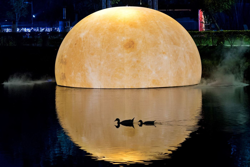湖面上閃耀的暖暖黃月亮，看野鴨游過鏡花水月的倒影。   圖：嘉義市政府／提供