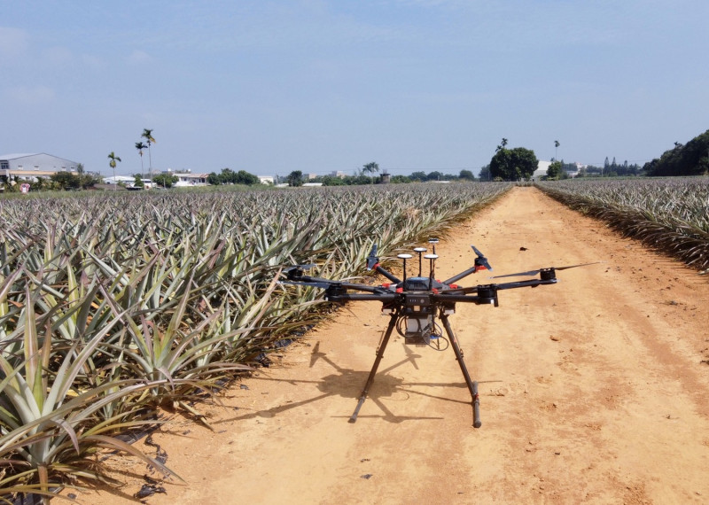 無人機可在10分鐘完成一分地的鳳梨田間拍攝，並監測鳳梨的生長狀況。   圖：嘉義縣政府/提供
