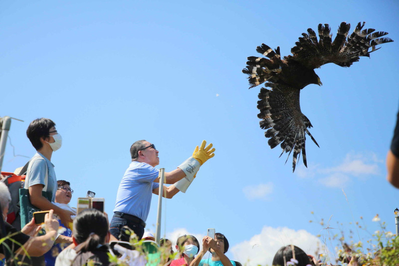 10月4日世界動物日，侯友宜以拋飛野放大冠鷲。   圖：新北市新聞局提供