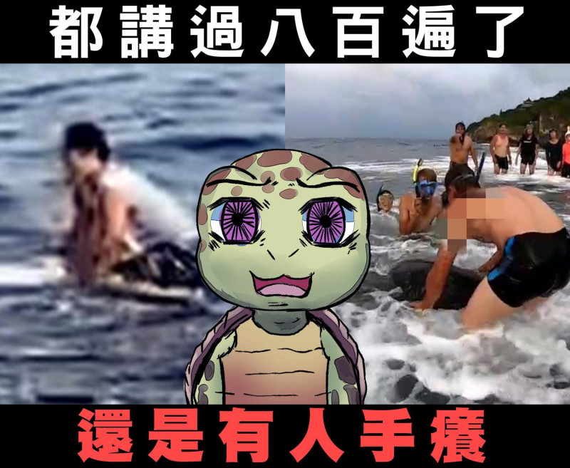 海洋委員會今（5）天在臉書po出一張圖片，因為小琉球又發生騷擾海龜事件。   圖：擷自海委會臉書
