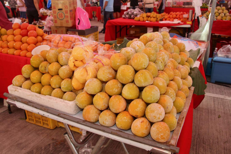 柿子是嘉義縣番路鄉出名的農產品。   圖：嘉義縣政府/提供