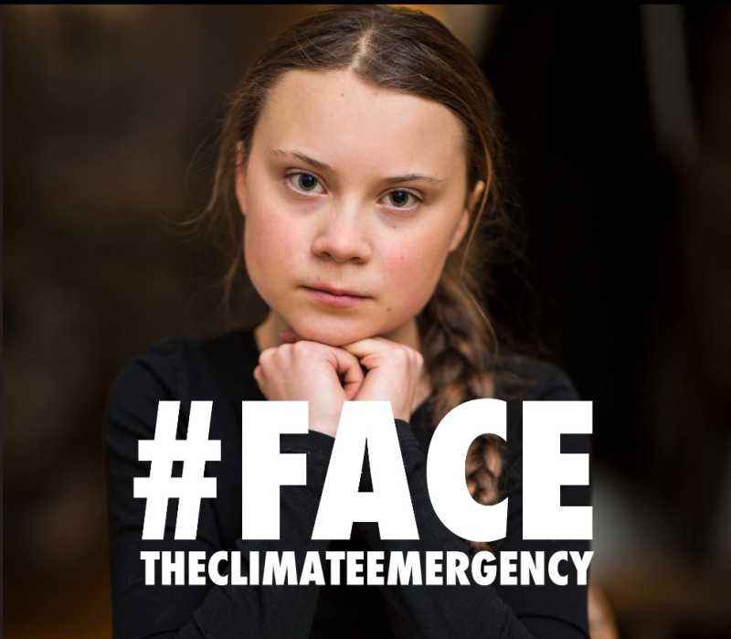 瑞典少女桑伯格 (又譯童貝里) （Greta Thunberg）。   圖 : 翻攝自童貝里（Greta Thunberg）推特