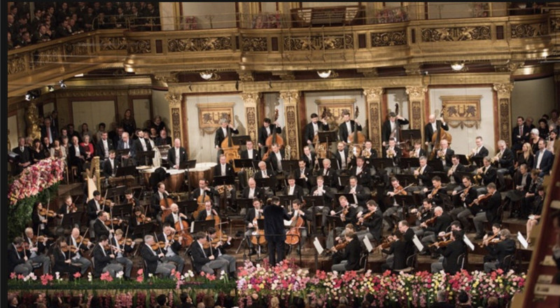 維也納愛樂管弦樂團來台一案被拒，指揮中心發言人莊人祥今於記者會說明原因。   圖：翻攝自維也納愛樂官方網站