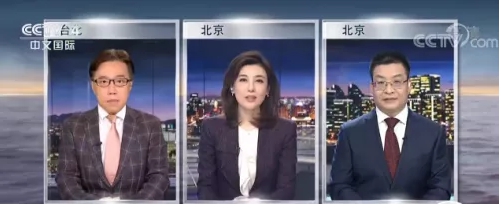 重新現身央視的李紅，在節目中訪問北京及台灣的學者。   圖 : 翻攝自央視
