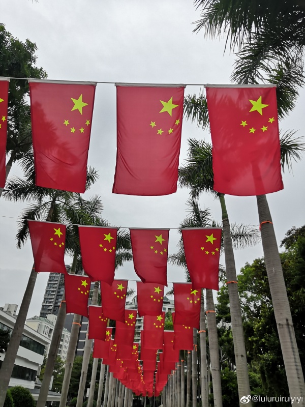 中國全大會表決通過國旗、國徽法相關規定。   圖：翻攝自微博
