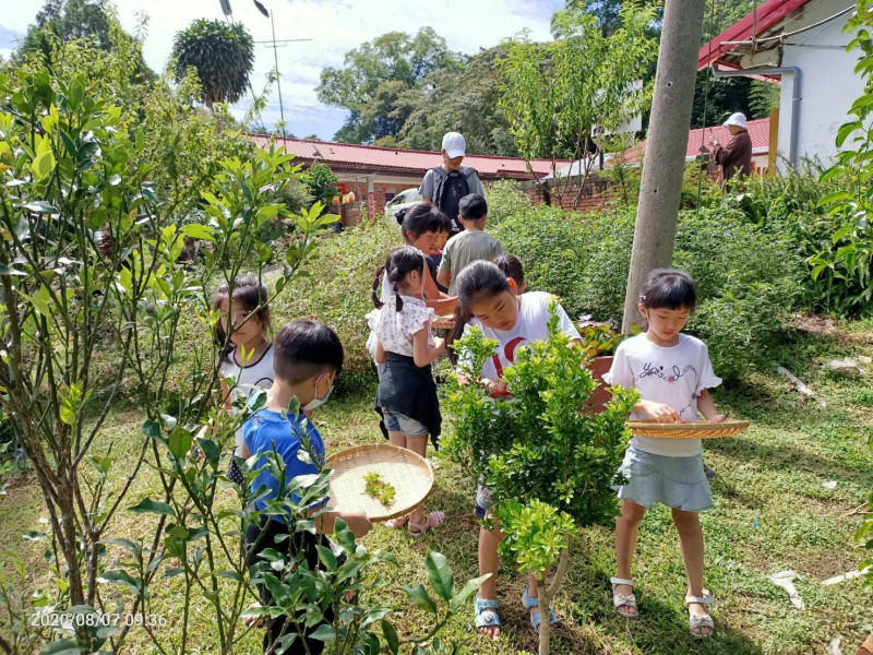 蓮華池療癒嚮導帶領學童體驗自然。   圖：農委會林試所／提供