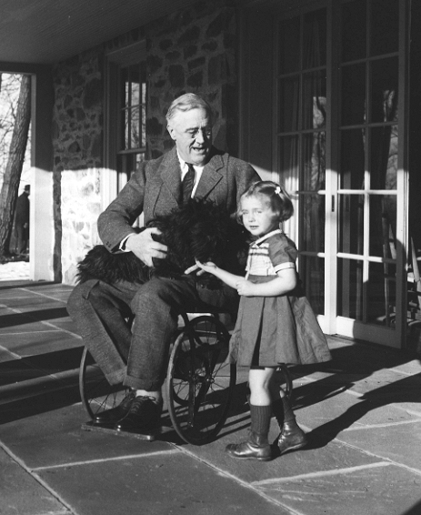 已知的羅斯福坐輪椅的少量照片之一，懷抱中的為其愛犬法拉   圖：翻攝自Franklin Delano Roosevelt Library