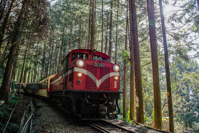 阿里山林業鐵道。   圖：林務局／提供