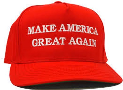 拜登認為共合黨會從川普的MAGA (Make America Great Again) 「狂熱夢想」中醒來，但這可能只是一廂情願。   途 : 翻攝自amazon.co.uk