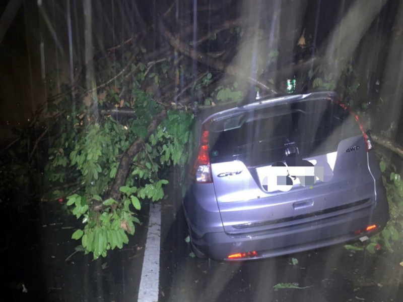 颱風閃電暴風圈掃過台東，南迴公路多良路段南下車道6日晚間發生樹木倒塌意外，一輛自小客車遭壓，所幸車上無人。   （警方提供）