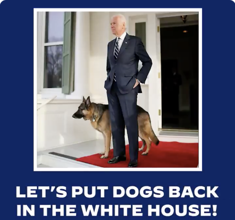 拜登競選影片向選民喊話：「讓狗狗回到白宮吧」。   圖：取自拜登推特