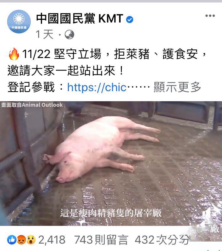 國民黨張貼與豬隻顫抖影片，後被證實與萊豬議題無關。   圖：翻攝自中國國民黨臉書