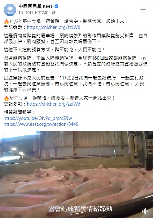 國民黨臉書日前貼出屠宰場豬隻抽搐、躁動的影片，宣稱是瘦肉精強烈的副作用讓豬隻飽受折磨。   翻攝自中國國民黨KMT臉書
