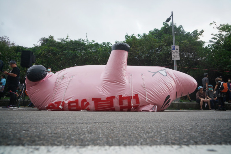 一隻寫著「出賣豬農」的充氣豬豬在遊行終點完成任務後，等著被卸氣。   圖：張良一/攝