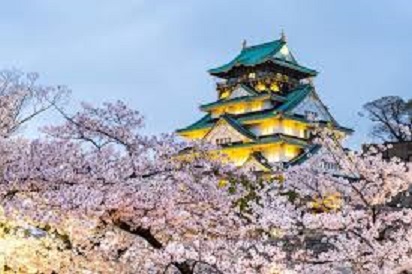 日本政府從1952年起在首都東京新宿御苑舉辦「賞櫻會」。   圖 : 翻攝自kknews