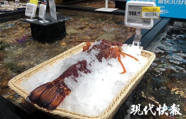 價值新台幣8551萬元的澳洲大龍蝦日前被耽擱在上海海關，直到龍蝦死亡。（示意畫面）   圖：翻攝現代快報