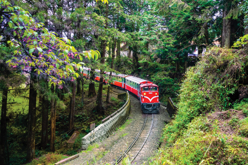 觀光局與Channel 5世界最美麗的鐵道旅行電視節目合作拍攝台灣鐵道旅遊專輯。   圖：交通部觀光局／提供