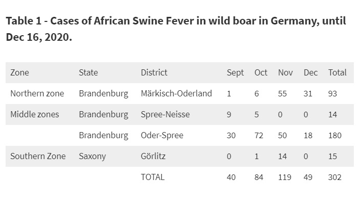 德國非洲豬瘟案例再破新高，意外導致近一百萬頭豬隻肉品滯銷   圖:擷取自網路