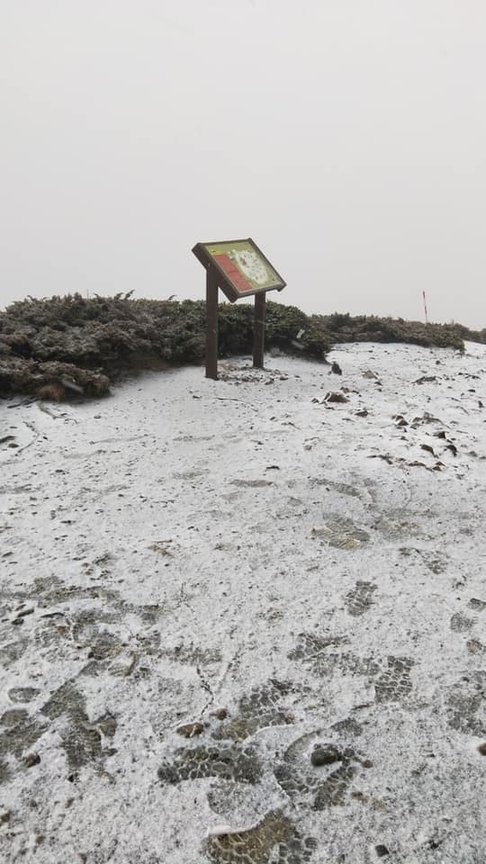雪山在今日清晨降下入冬初雪。   圖：擷取自雪霸國家公園高山協作全蔣清臉書
