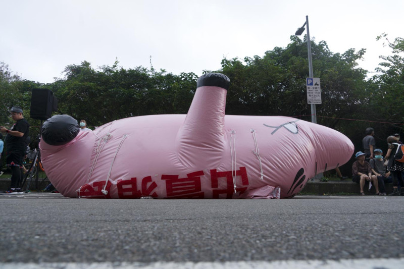 一隻寫著「出賣豬農」的充氣豬豬在反萊豬遊行完成任務後，等著被洩氣。   圖：張良一/攝
