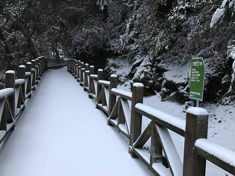 拉拉山下雪的景象。   圖：取自新竹林區管理處