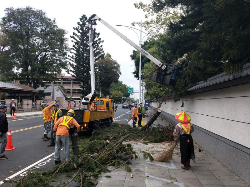 樹木遭強風吹倒橫在忠孝路上，環保局派員搶通。   圖：市議員黃思婷/提供