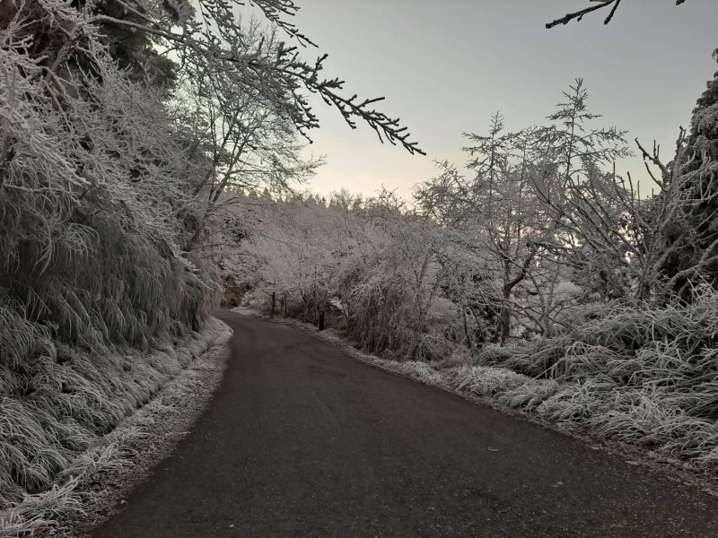 因為寒流低溫，太平山國家森林遊樂區出現霧淞、結霜。   圖：取自太平山國家森林遊樂區臉書