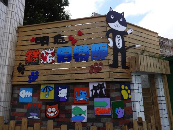 明志國中的貓貓俱樂部，以閒置的校長宿舍改設而成。    圖：新北市動保處提供