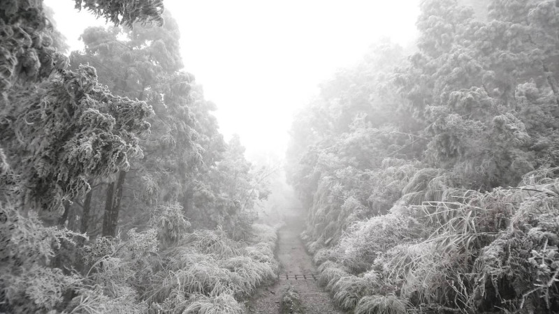 寒流將至，全台許多山區都有機會降雪。   圖：翻攝自太平山國家森林遊樂園區臉書