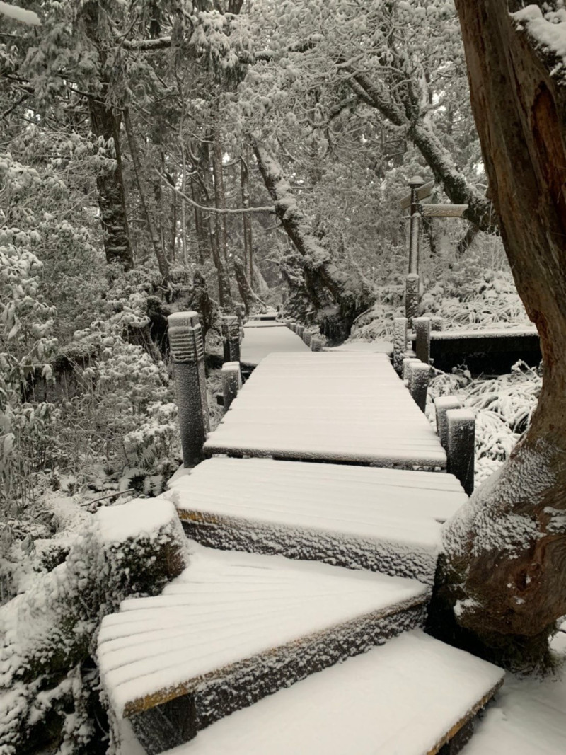 太平山昨日晚間便開始降雪，整座山頭一片雪白。   圖：翻攝自太平山國家森林遊樂區臉書