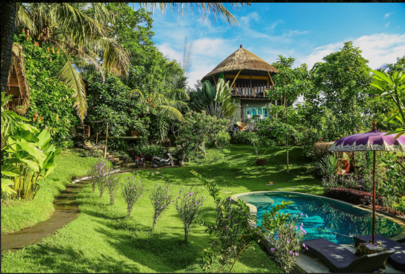 印尼峇里島林間樹屋。   圖： Airbnb /提供