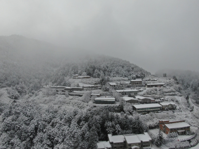 太平山昨日晚間便開始降雪，整座山頭一片雪白。   圖：翻攝自太平山國家森林遊樂區臉書