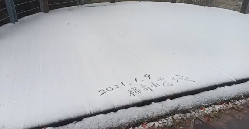 福壽山農場小編直播下雪美景。   圖/翻攝自直播影片