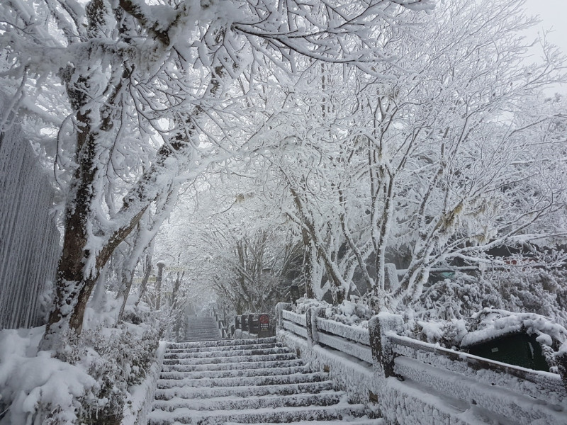 宜蘭太平山從昨晚開始降雪，完全被白雪覆蓋的美景，讓大批遊客上山追雪，但12時過後就不開放入園。   圖：翻攝自太平山國家森林遊樂園臉書