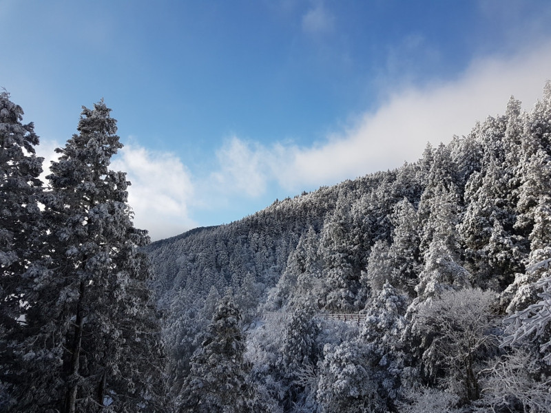 太平山雪景。   圖：翻攝自太平山國家森林遊樂園臉書