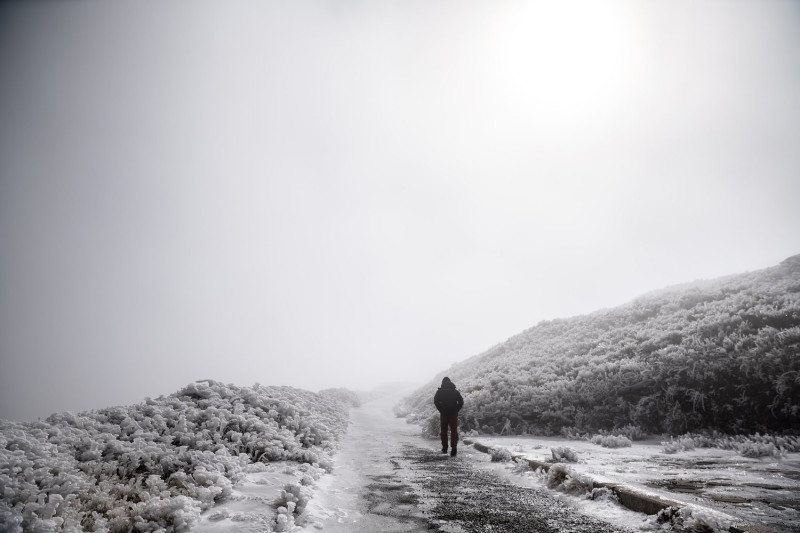 合歡山下大雪，公路總局呼籲遊客上山需注意保暖。   圖：霹靂鄭／提供