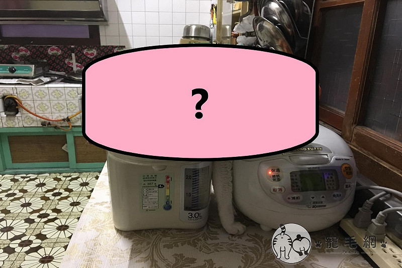 網友家的貓把家電當暖爐。   圖／網友巫世傑授權提供
