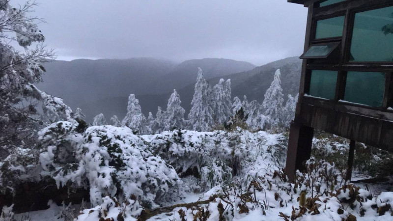 太平山在前兩波寒流來襲都有降雪，一片雪白美景驚艷旅客，氣象專家預估太平山本週日還有降雪機會(圖為過去雪景)。   圖：林務局羅東林區管理處／提供