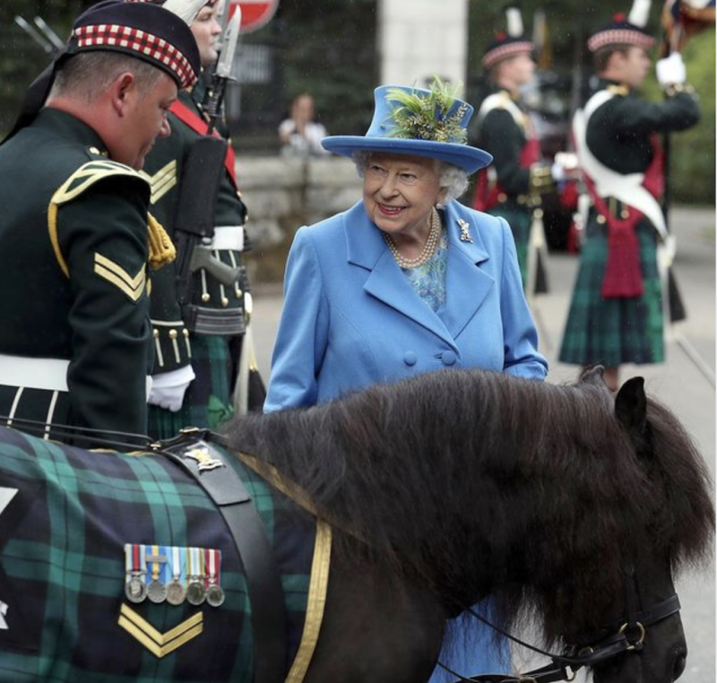 英國皇室也因疫情導致觀光人數銳減，影響民生經濟。   圖：翻攝自TheRoyalFamily IG