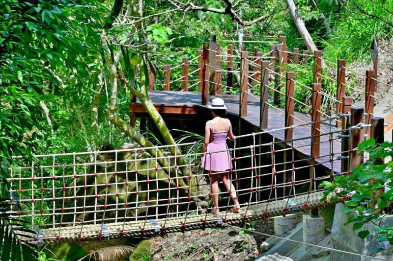太平蝙蝠洞登山步道上以麻繩編織新建的兩座跨越橋極具古樸美感。   台中市政府/提供
