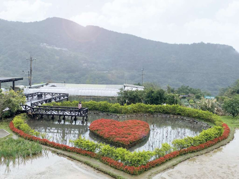 同心池浪漫紅色愛心映入眼簾。   圖：取自台北旅遊網