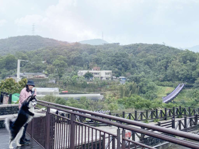 碧山路旁人車分道，遠眺吊橋及周邊山景。   圖：取自台北旅遊網