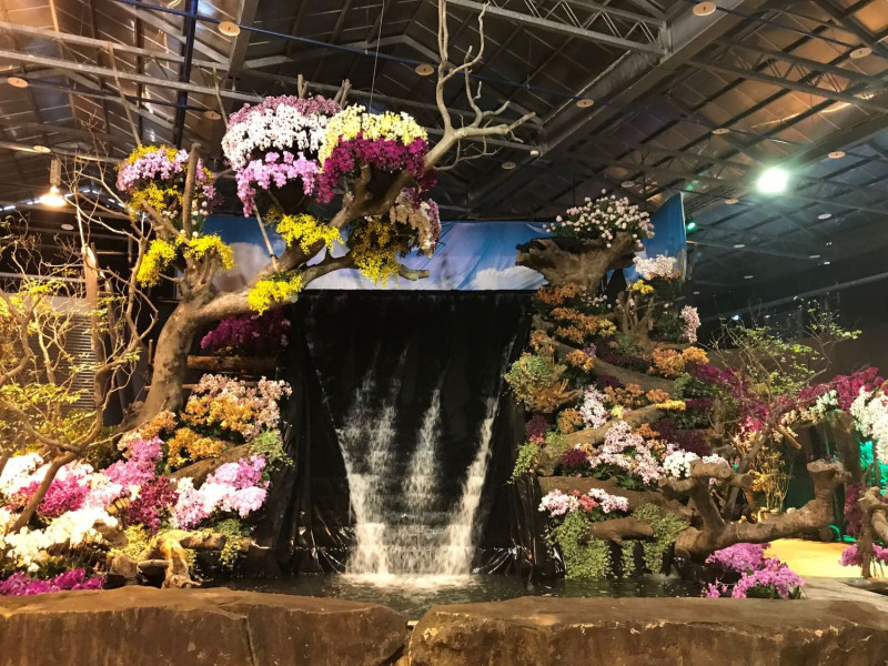 往年的國際蘭展，展出的蘭花光彩奪目，備受各界矚目。   圖：台南市政府/提供