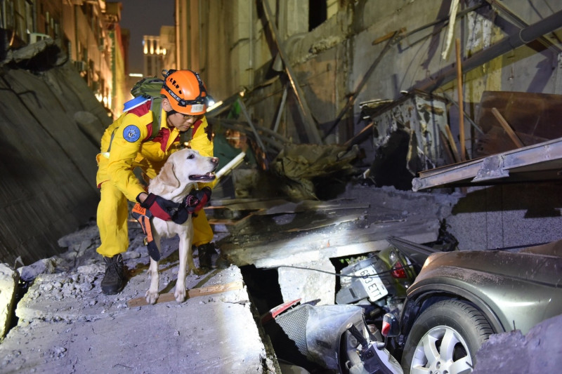 搜救犬在現場反覆搜索，幸無人員傷亡。   圖：高雄市政府/提供